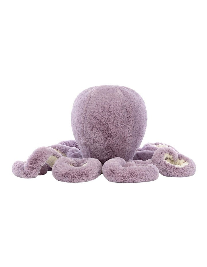 Large Maya Octopus