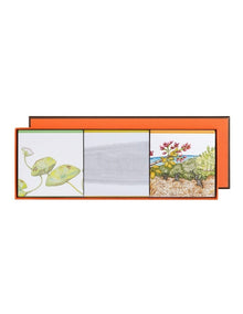 The Collection 3 Soaps Gift Set 3x100g