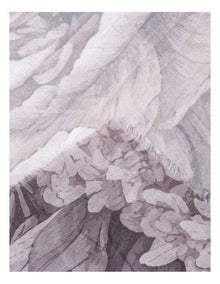 Large Floral Print Scarf in Blush