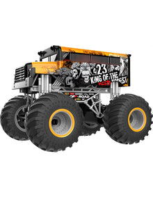 Remote Control Dirt Devils
