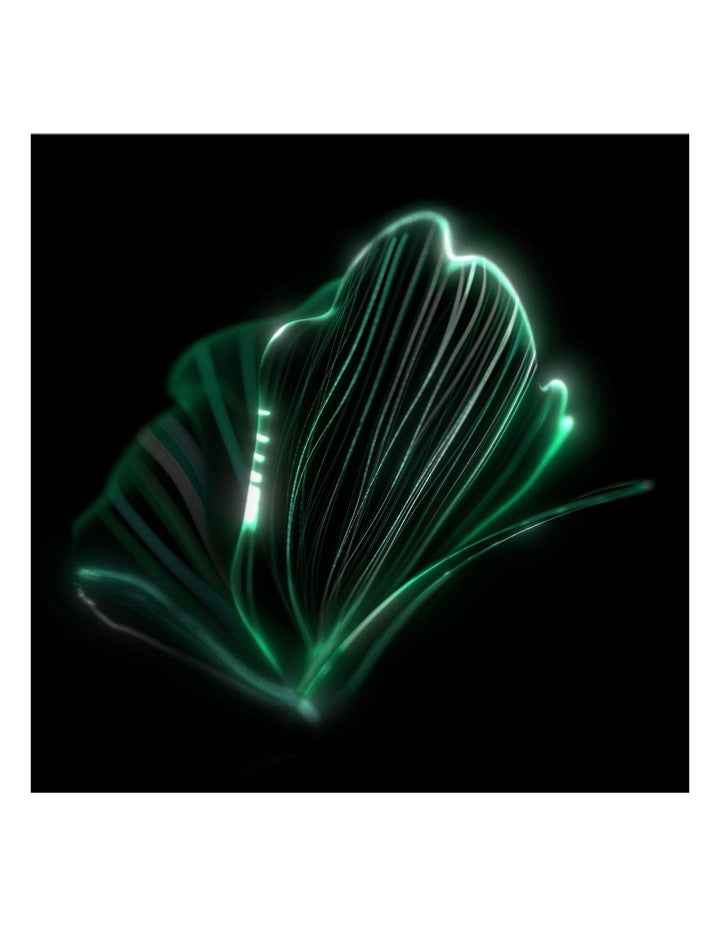 Giorgio Armani Crema Nera Remodeling Cream 50ml Refill