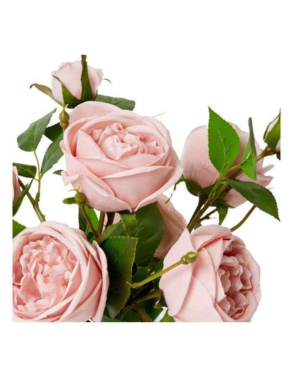 Rose Austin Spray-alma Vase in Dusty Pink