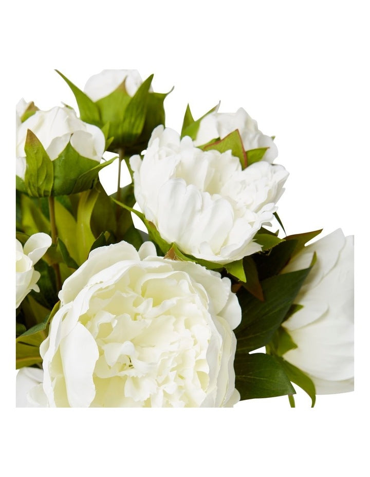 Peony-Alma Vase 36cm in White