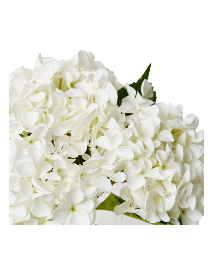 Hydrangea-Alma Vase in White