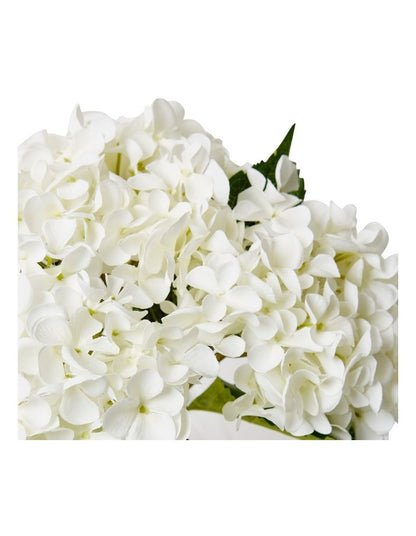 Hydrangea-Alma Vase in White