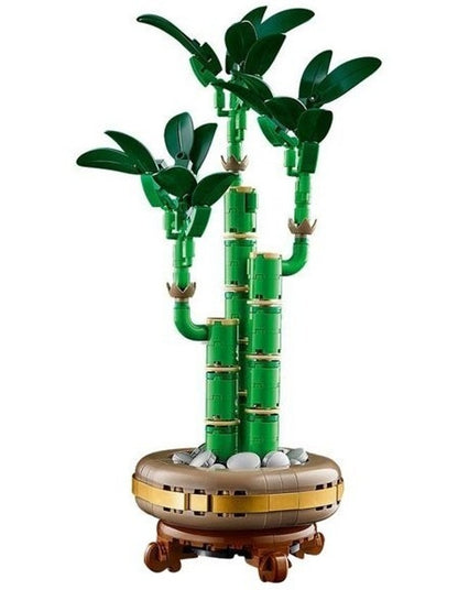 Botanicals Lucky Bamboo 10344 Building Kit