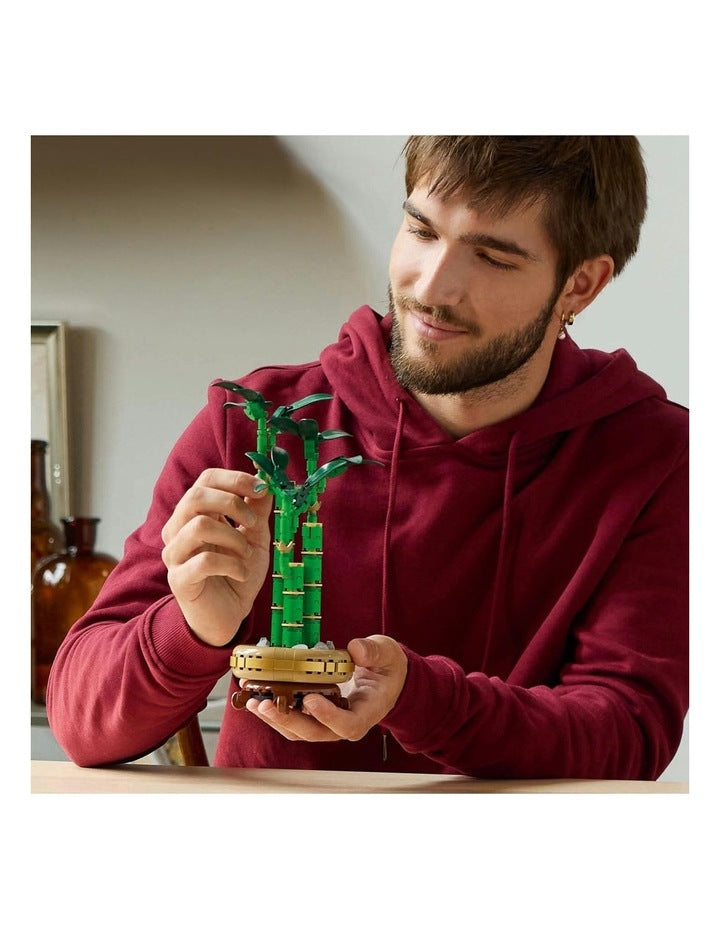Botanicals Lucky Bamboo 10344 Building Kit