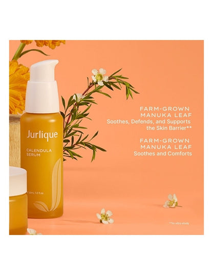 Calendula Serum