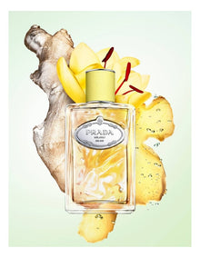 Infusion De Gingembre Eau De Parfum 100ml