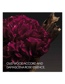 The Alchemist's Garden A Reason to Love Eau de Parfum