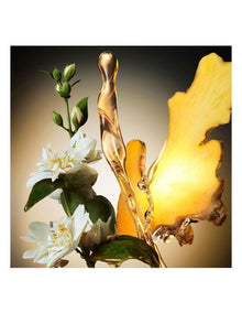 The Scent After Shave Lotion