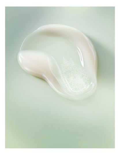 Face Cream Refill 60ml