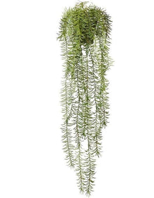 Sawtooth Hanging Fern in Green