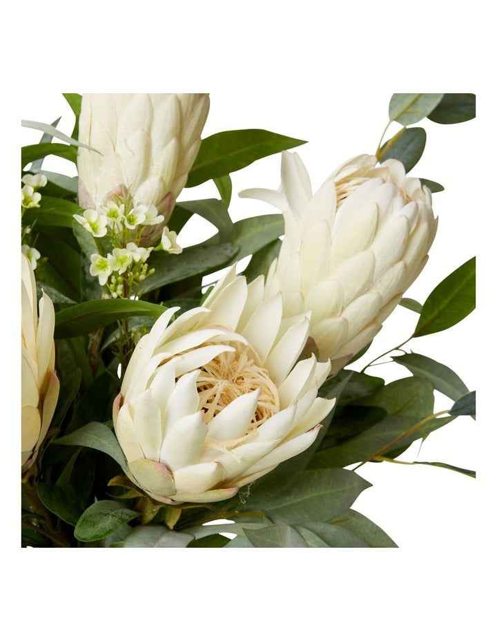 Protea Eucy Mix Gabbie Vase in White/Green