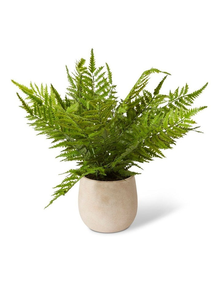 Fern Chain Olsen Pot in Cream/Green