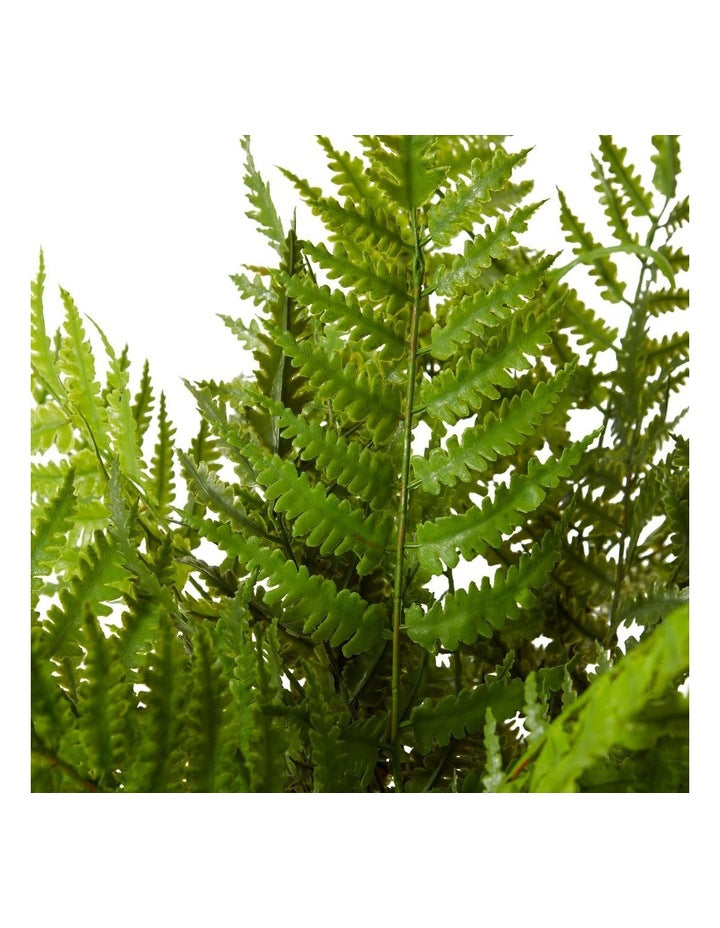 Fern Chain Olsen Pot in Cream/Green