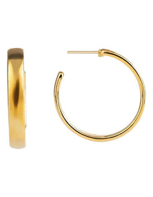 GJEC071M - Hoop Earrings in Gold