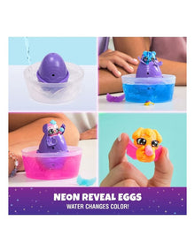 Alive Neon Rainbow Splash Single Pack