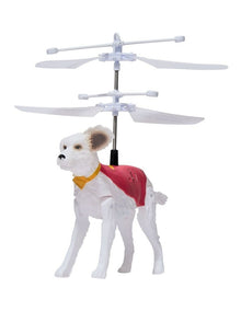 Handheld Flying Crypto