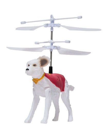 Handheld Flying Crypto