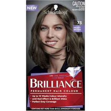 Schwarzkopf Brilliance 73 Frosty Brown Permanent Hair Dye each