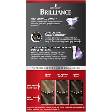 Schwarzkopf Brilliance 73 Frosty Brown Permanent Hair Dye each