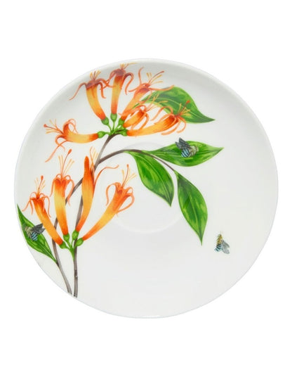 Eloise Short Lyric Cup & Saucer 240ML Regent Honeyeater Gift Boxed in White