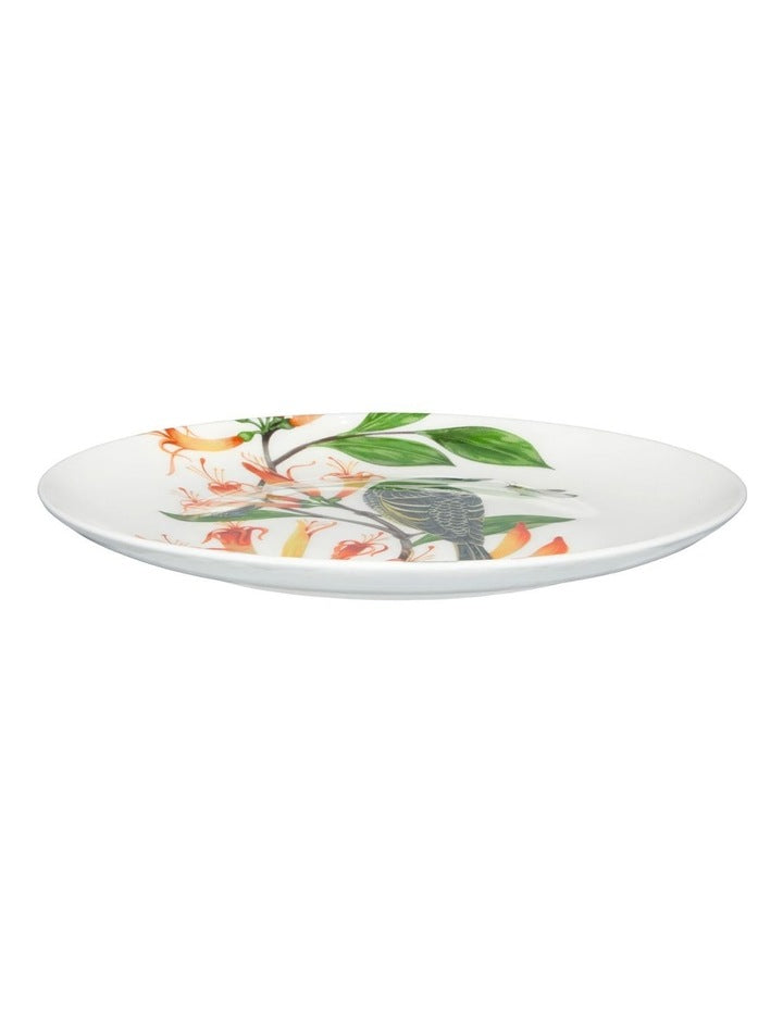 Eloise Short Lyric Coupe Plate 20cm Regent Honeyeater Gift Boxed in White