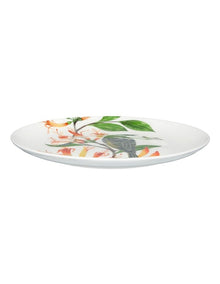 Eloise Short Lyric Coupe Plate 20cm Regent Honeyeater Gift Boxed in White