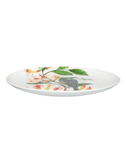 Eloise Short Lyric Coupe Plate 20cm Regent Honeyeater Gift Boxed in White
