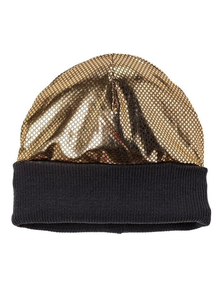 Polar Powder II Beanie in Grey