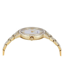 Analogue AR11652 Watch in Gold