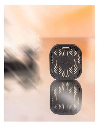 Peach Delight Car Diffuser
