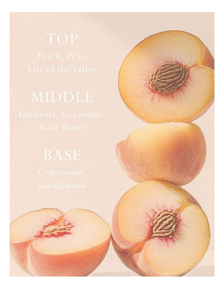 Peach Delight Car Diffuser - Fragrance Disc Refill