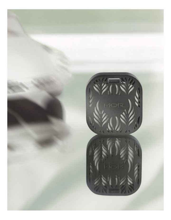 Italian Pear Car Diffuser