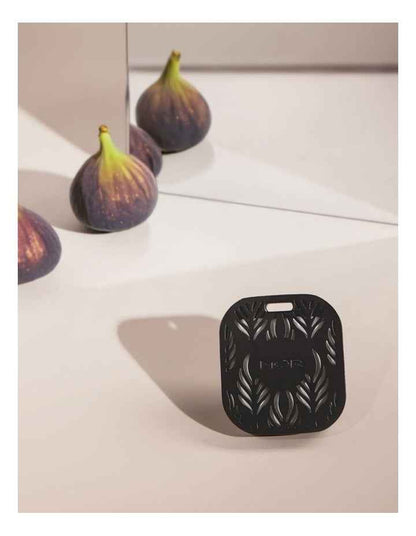 Primavera Fig Car Diffuser