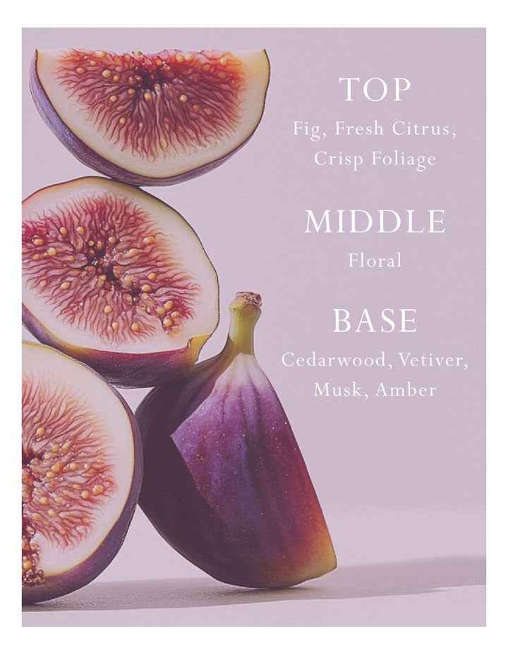 Primavera Fig  Car Diffuser - Fragrance Disc Refill