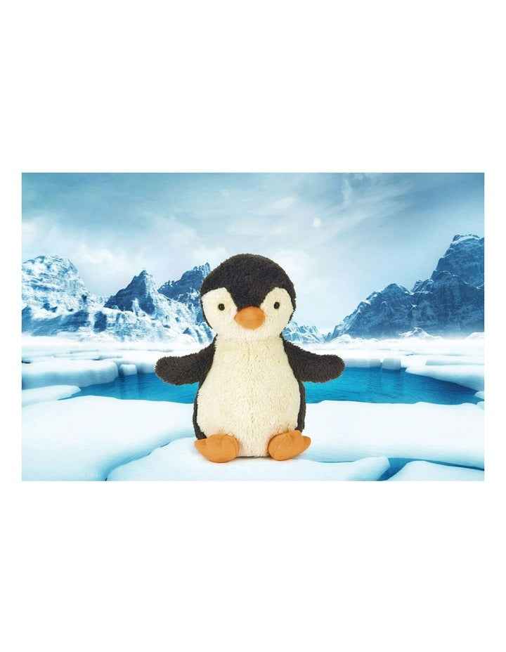 Medium Peanut Penguin Push Toy