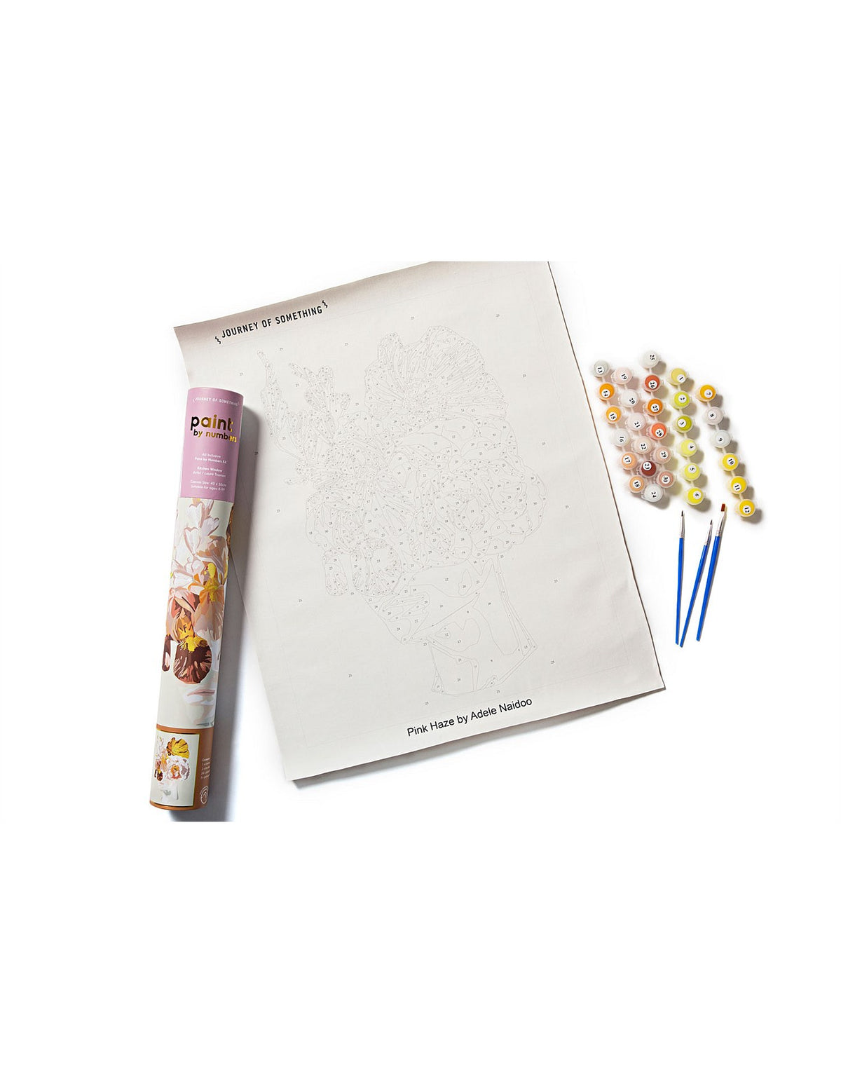 Paint by Numbers - Pink haze