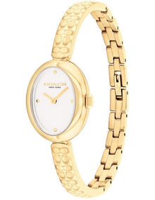 Sammy Ionic Plated Dial Watch in Gold
