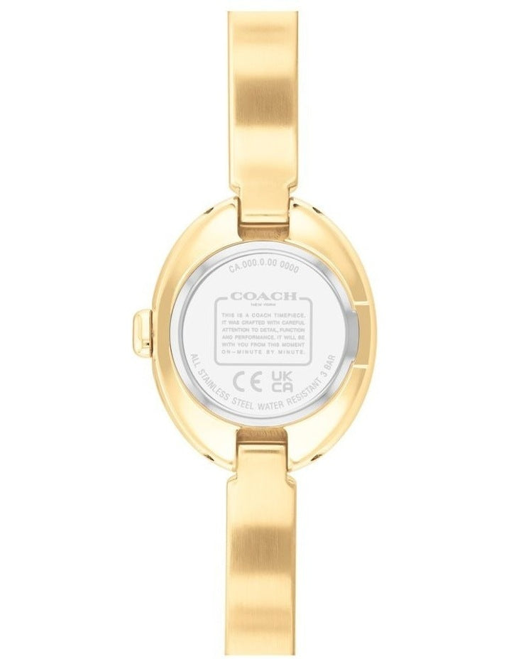 Sammy Ionic Plated Dial Watch in Gold