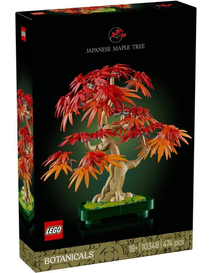 Botanicals Japanese Red Maple Bonsai Tree 10348