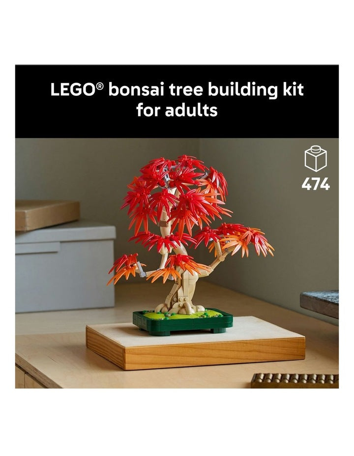 Botanicals Japanese Red Maple Bonsai Tree 10348