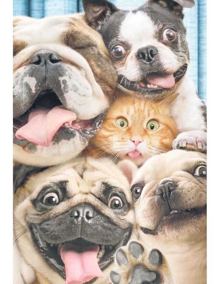 Large Card Wraps - From All of Us in Assorted