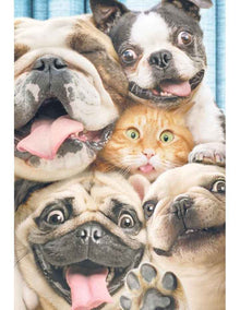 Large Card Wraps - From All of Us in Assorted