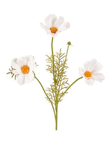 Coco 3 Heads Cosmo 50cm in White