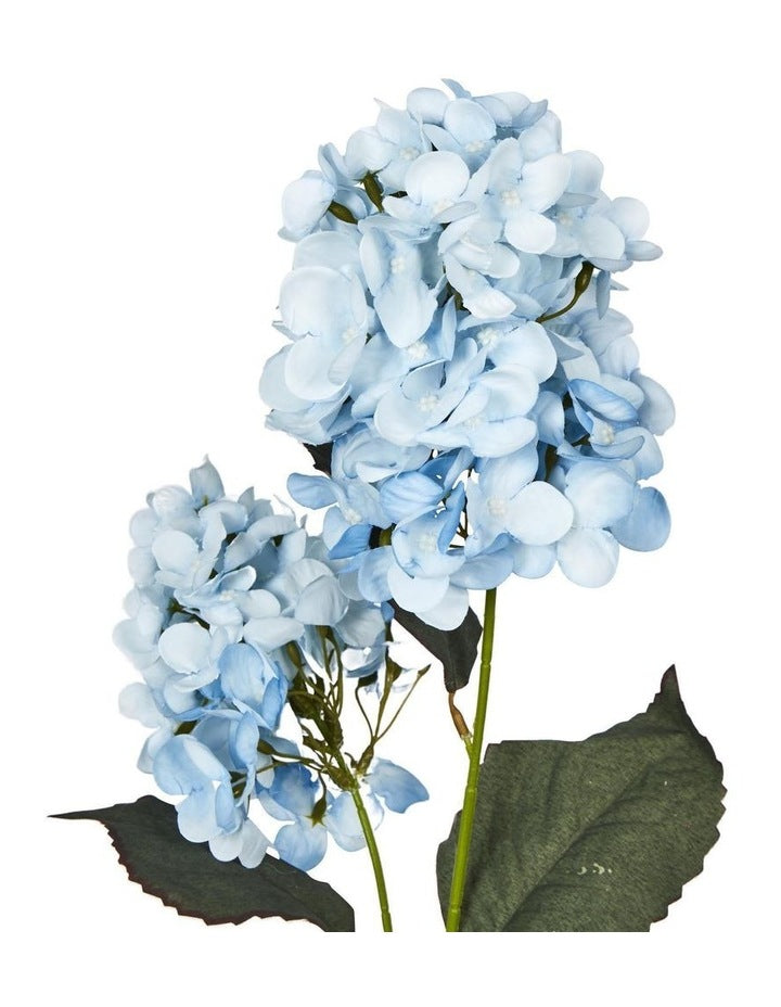 Light Blue Cone Hydrangea 60cm in Blue
