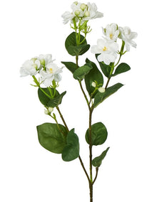 Jasmine Spray 60cm in White