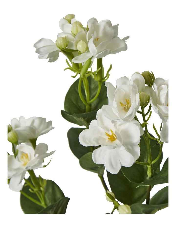 Jasmine Spray 60cm in White