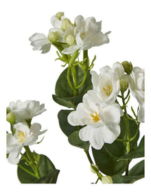 Jasmine Spray 60cm in White